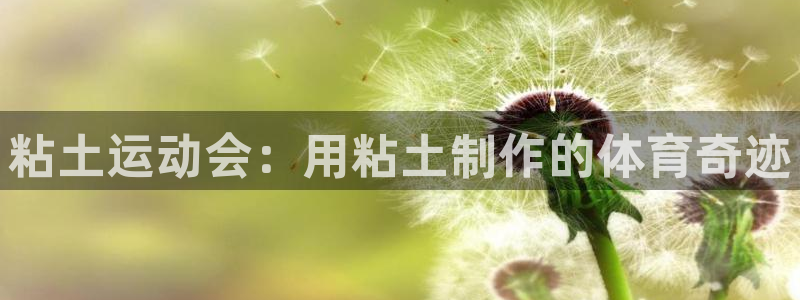粘土运动会：用粘土制作的体育奇迹
